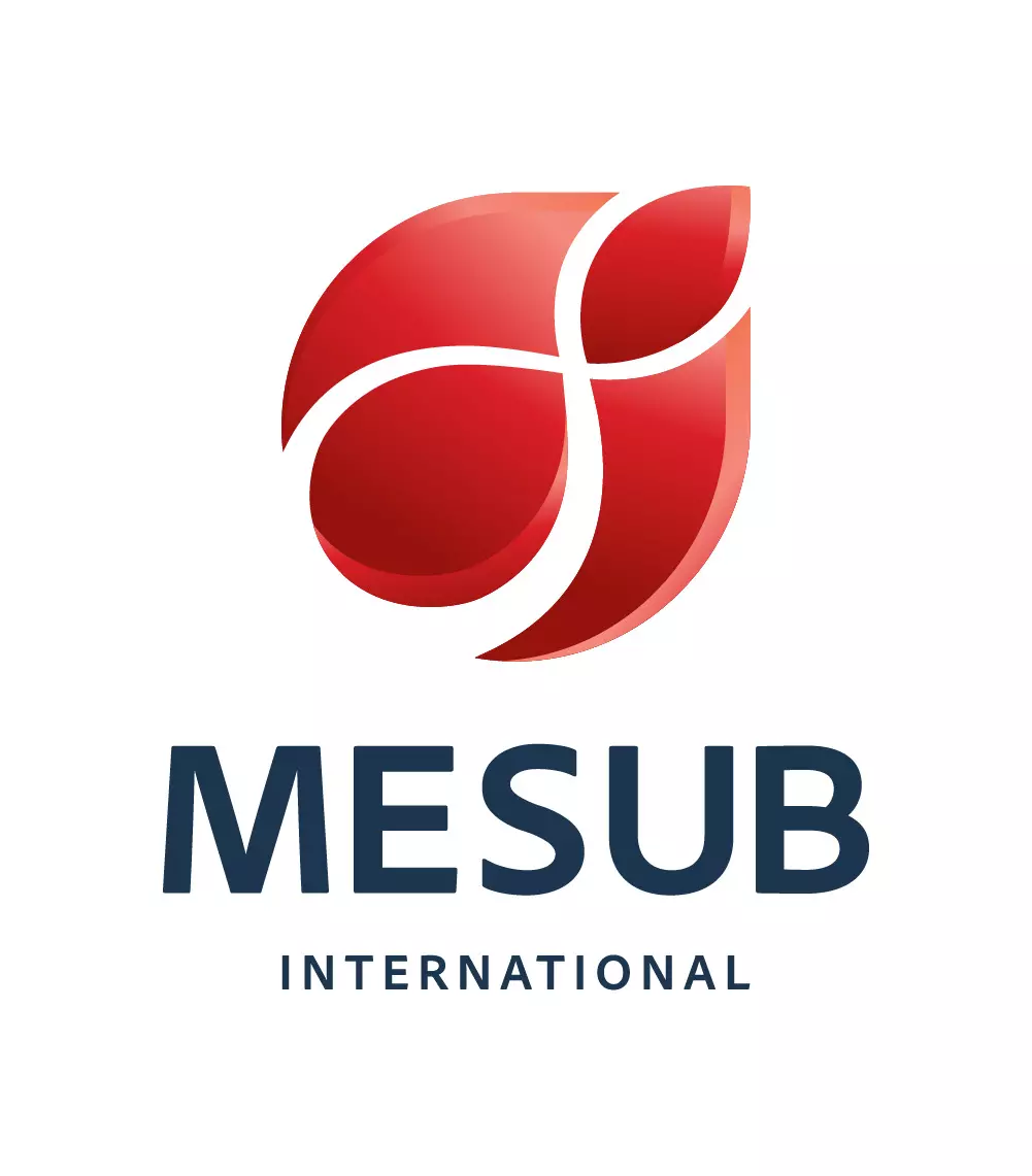 mesub travel